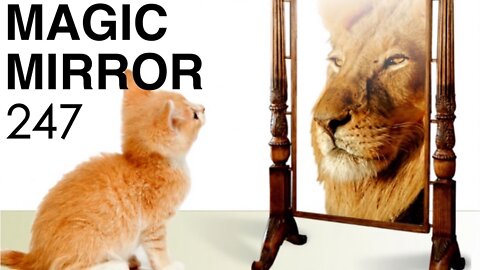 Magic Mirror 247 - The Lie That Brought Us Here