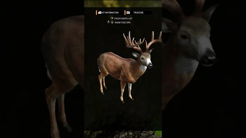 NEW .45 Revolver 💎 Whitetail Stalk - Diamond - theHunter: Call of the Wild #shorts