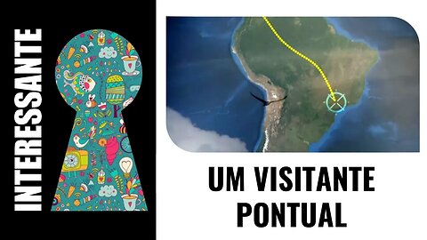 UM VISITANTE PONTUAL
