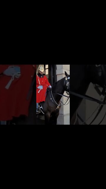 touching the Reins #horseguardsparade