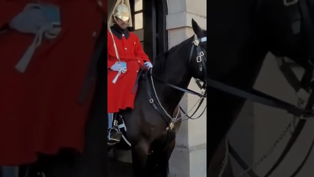 touching the Reins #horseguardsparade