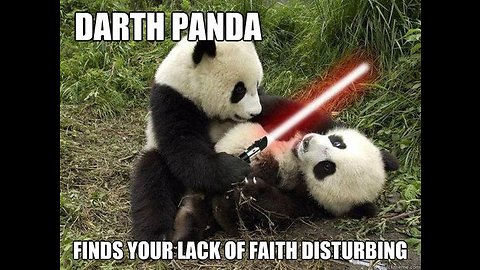 Funny Pandas 🐼