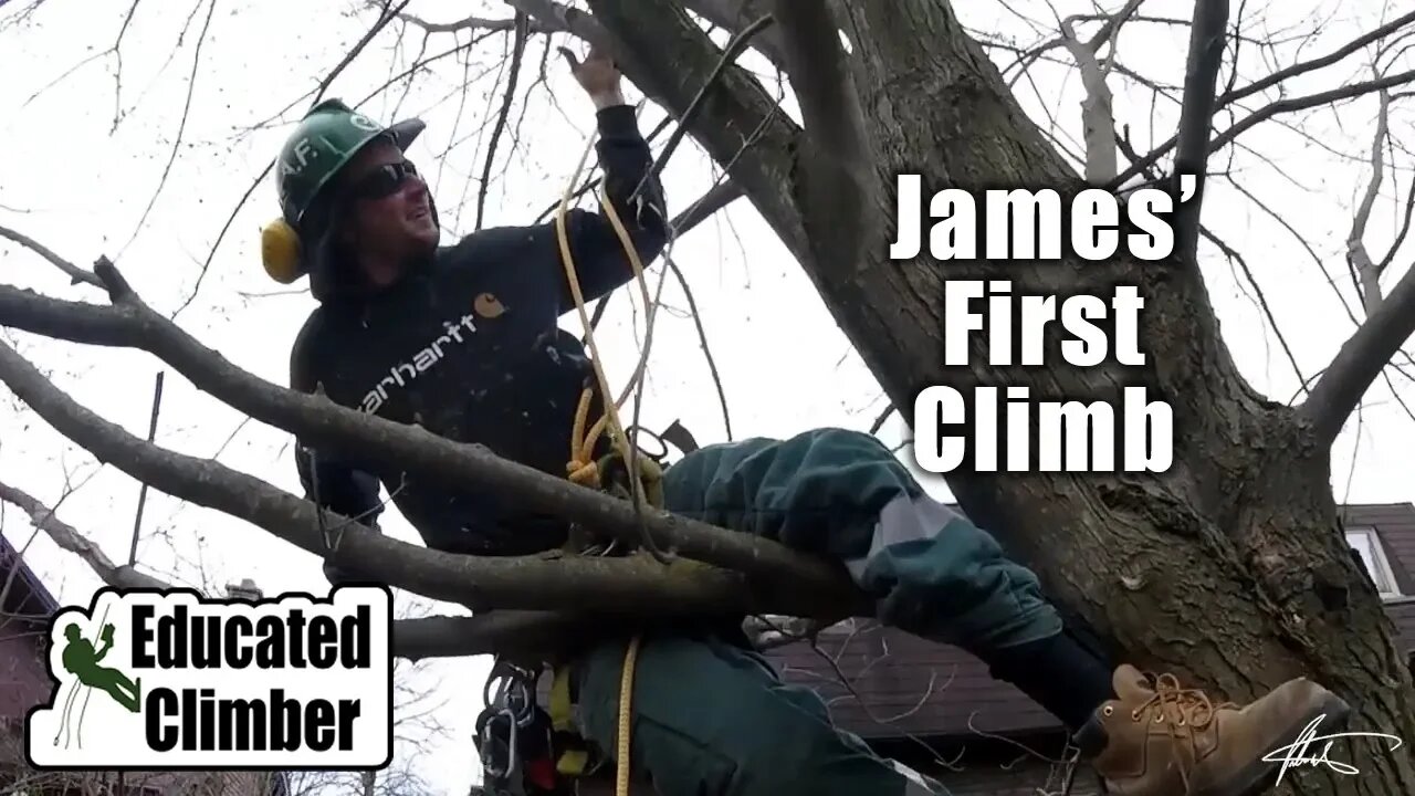 James' First Climb April 2017 | Apprentice Arborist Humble Beginnings|