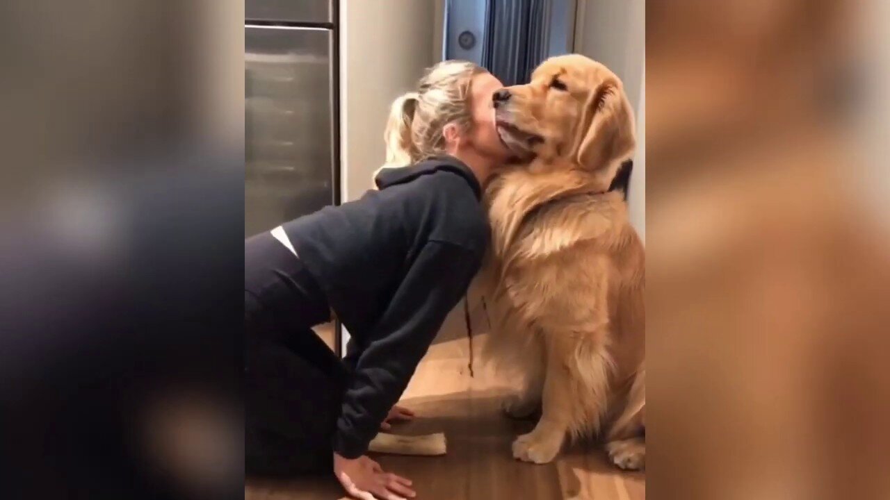 funny and cute dog compilation 2021 WATCH IT TILL THE END YOUR HEART WILL MELT