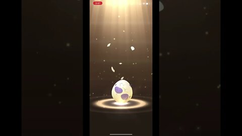 Pokémon Go - Hatching 10km Audino Egg Showcase