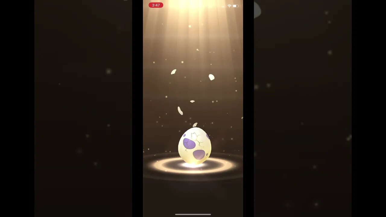 Pokémon Go - Hatching 10km Audino Egg Showcase