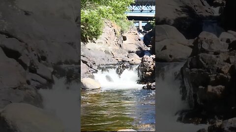 Bracebridge Waterfalls #shorts