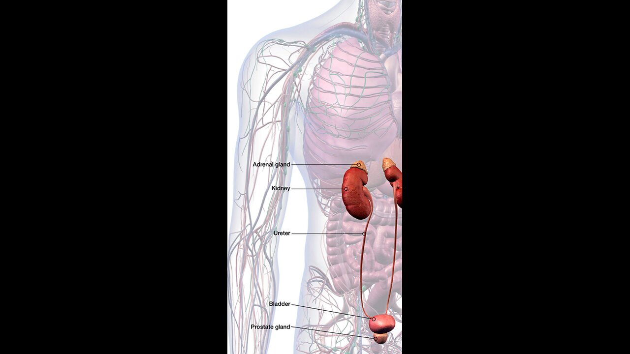 adrenal insufficiency hack