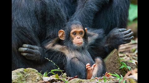 Erros engraçados KKKKKK