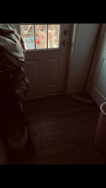 Scaring my other dog