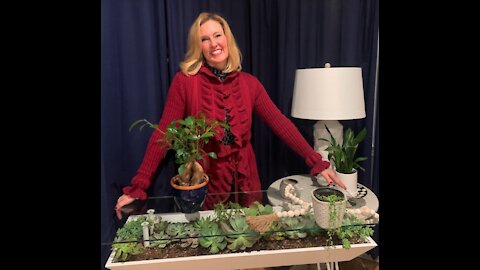 Debra's Simple Garden-Trendy Indoor Plants