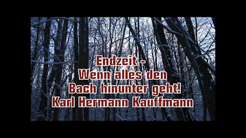 Endzeit, wenn alles den Bach hinunter geht (Karl-Hermann Kauffmann)