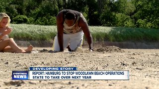 Report: Hamburg to stop Woodlawn Beach operations