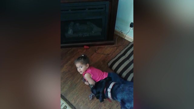 A Tot Girl Fights With A Dog Over Rope