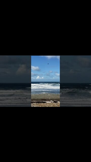 when you let got of what is holding you back you will experience success beyond your widest dreams