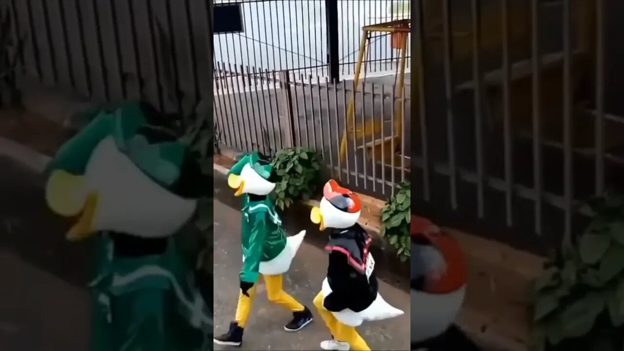 DANÇARINOS SUPER NINJAS DA CARRETA DA ALEGRIA, DANÇANDO FOFÃO, PATO DONALDO E PATATI, LIKE 6