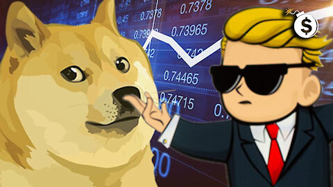 Dogecoin Up 1,000% as #WallStreetBets Gets In On The Crypto Action and Elon Gets into #Bitcoin