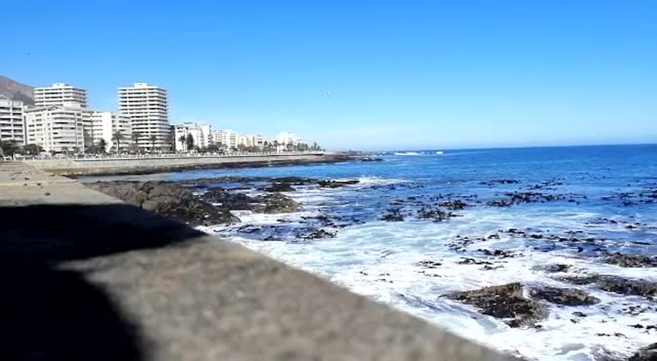 SOUTH AFRICA - Cape Town - Table Bay Kayaking (Video) (YxQ)