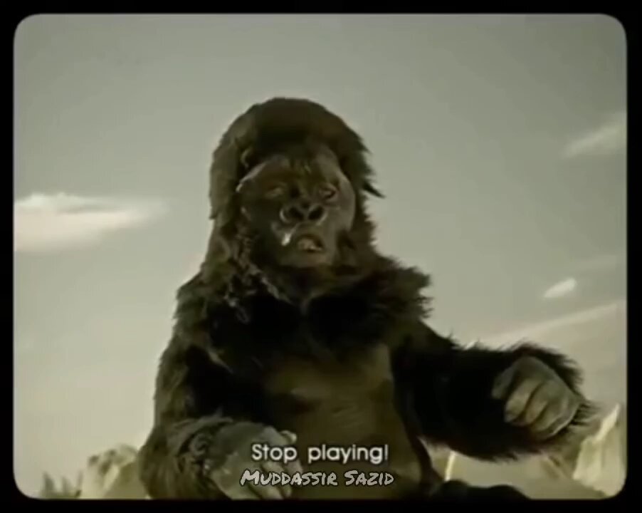 Gorilla ka beta🤣 Volvo ki bhi maar de diya Aisi yaar banaa Di sabk😂