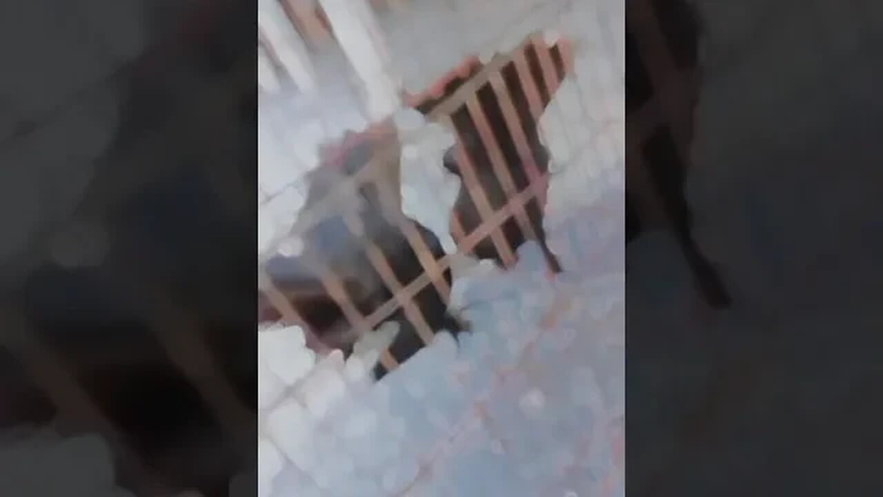 hayeee#youtubeshorts #shortsviral #vlogger#gaming #entertainment ##enjoy