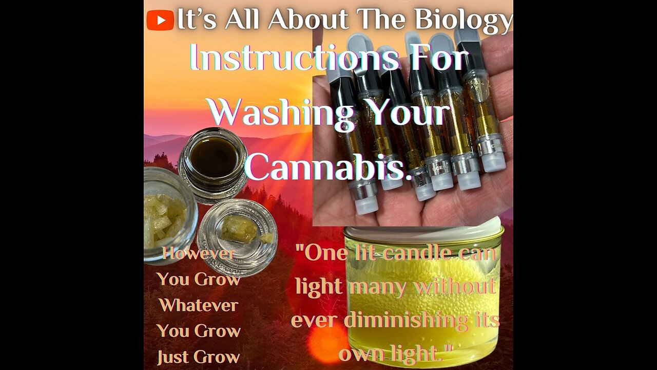 Instructions For Washing Your Cannabis.