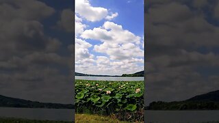 Cloud formations #shorts #nature #clouds