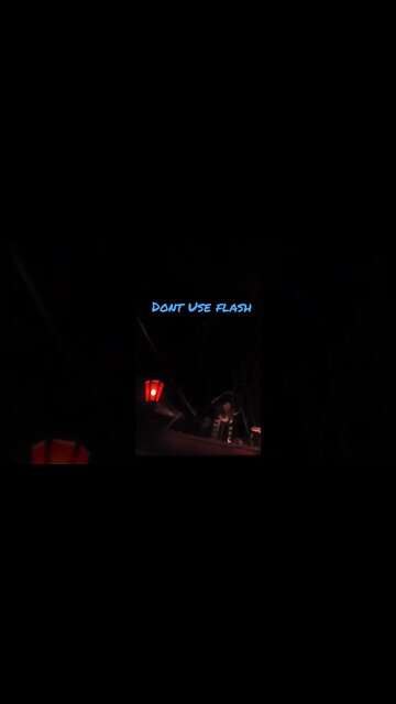 Yo Ho Yo Ho A Pirate's Life For Me.