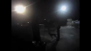 BODY CAMERA: MCSO deputy shoots dog attacking K9 *Graphic content*