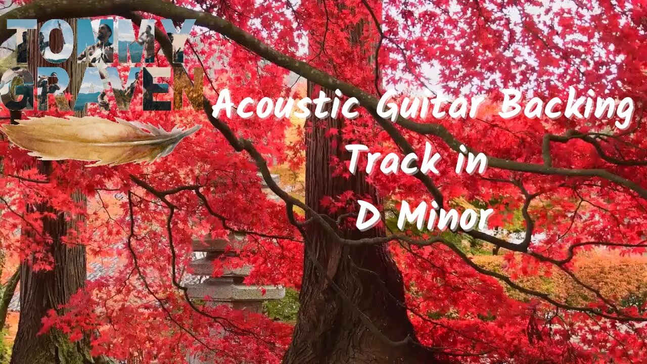 Beautiful Acoustic Guitar Backing Track in D Minor (licensing available)