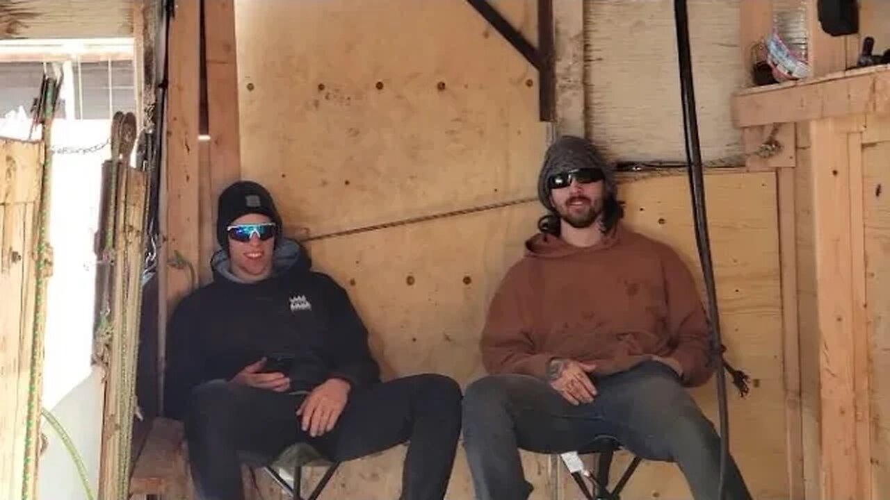 Living And Working With Friends I Think??? Sheep Shearing Life