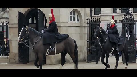 The Tourist's believed they were going to be trampled on by the Horse #horseguardsparade