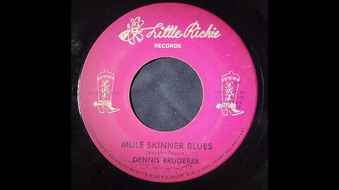 Dennis Bruderer – Mule Skinner Blues