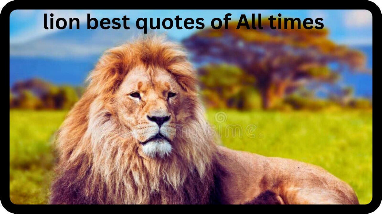 The best Lion King quotes you have ever heard