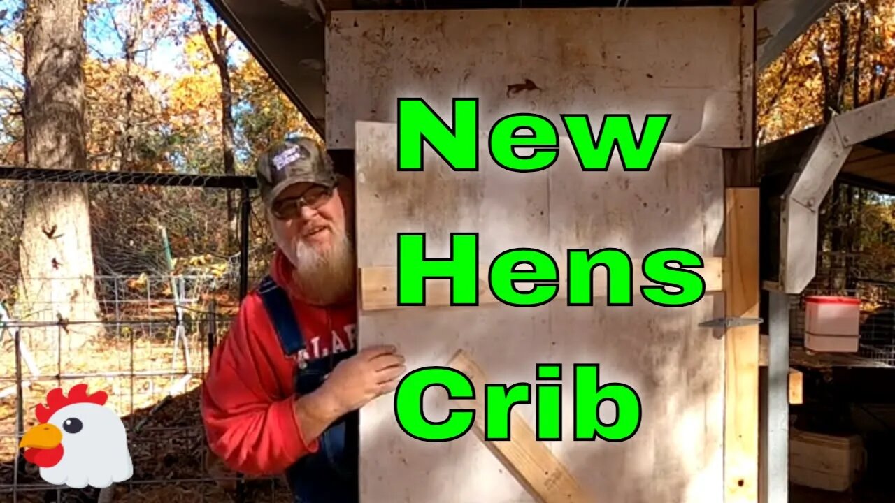 The Hen's New Cribs