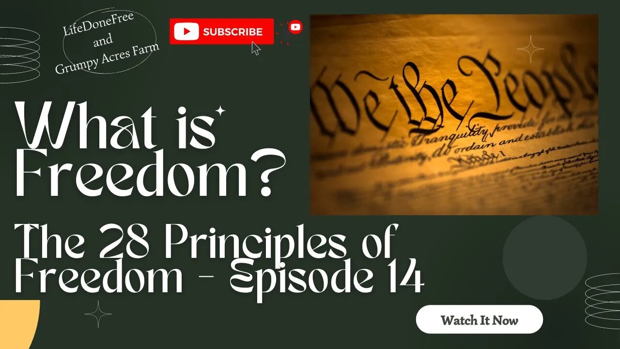 What is Freedom? 28 Principles of Freedom - Episode 14