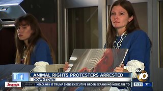 Animal rights activists chain themselves to City Hall