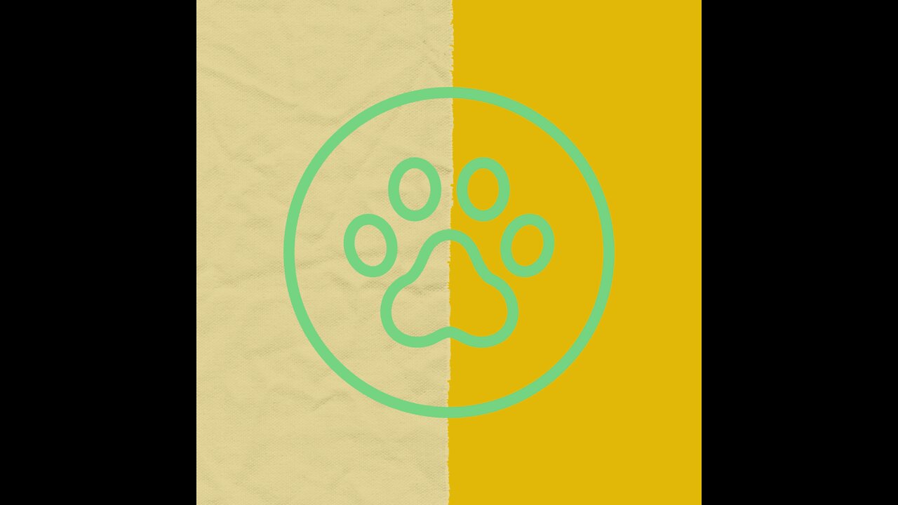 Funny Animals - Grove Cuddly