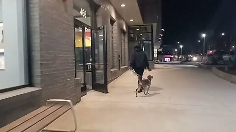 daily table now open in Mattapan Square