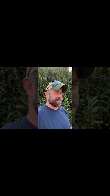 Self esteem comes with actual competence and capability…