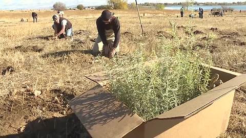 Landscape restoration at Deer Flat National Wildlife Refuge hopes to turn back the clock