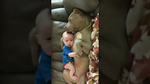 Cute Baby And Dog 😘😘😘😘 #cute #videos