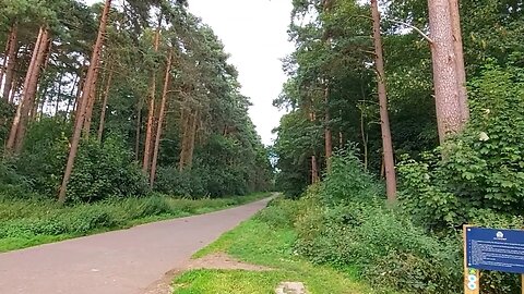 Harlestone Firs Circular Walk