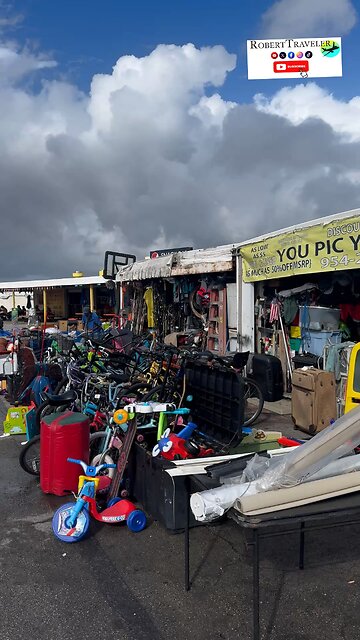 Things to do in Florida