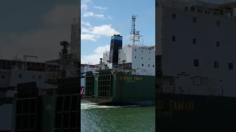 Ship Going Astern. #trending #shorts #merchantnavy #lifeatsea #ship #shipping #ocean #sea #tasmania