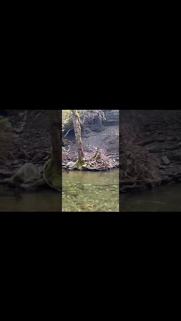 Waterfall Wednesday #vancityadventure #traveling #shortvideo #vancity #waterfall #waterfalls