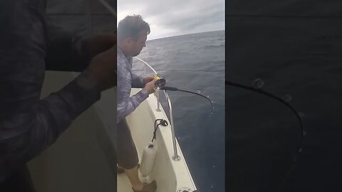 THIS Fish was IMPOSSIBLE! #fishing #deepseafishing #shorts