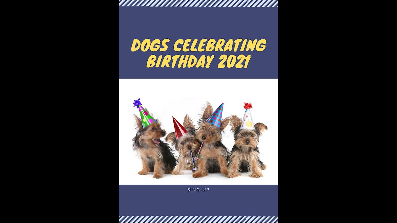 Dogs Celebrating Birthday 2021