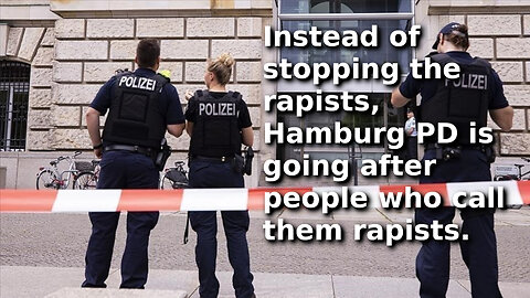 German Woman Receives Harsher Sentence Than Convicted Rapist She Called a “Disgraceful Rapist Pig”