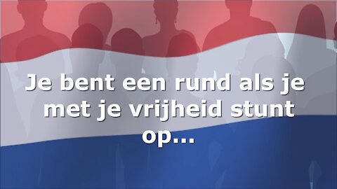 Je bent een rund als je met he vrijheid stunt