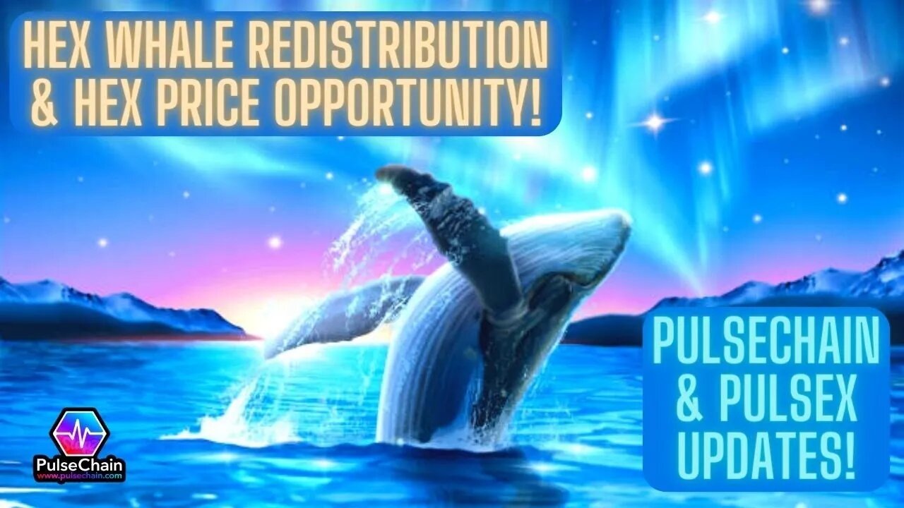 Hex Whale Redistribution & Hex Price Opportunity! Pulsechain & PulseX Updates!